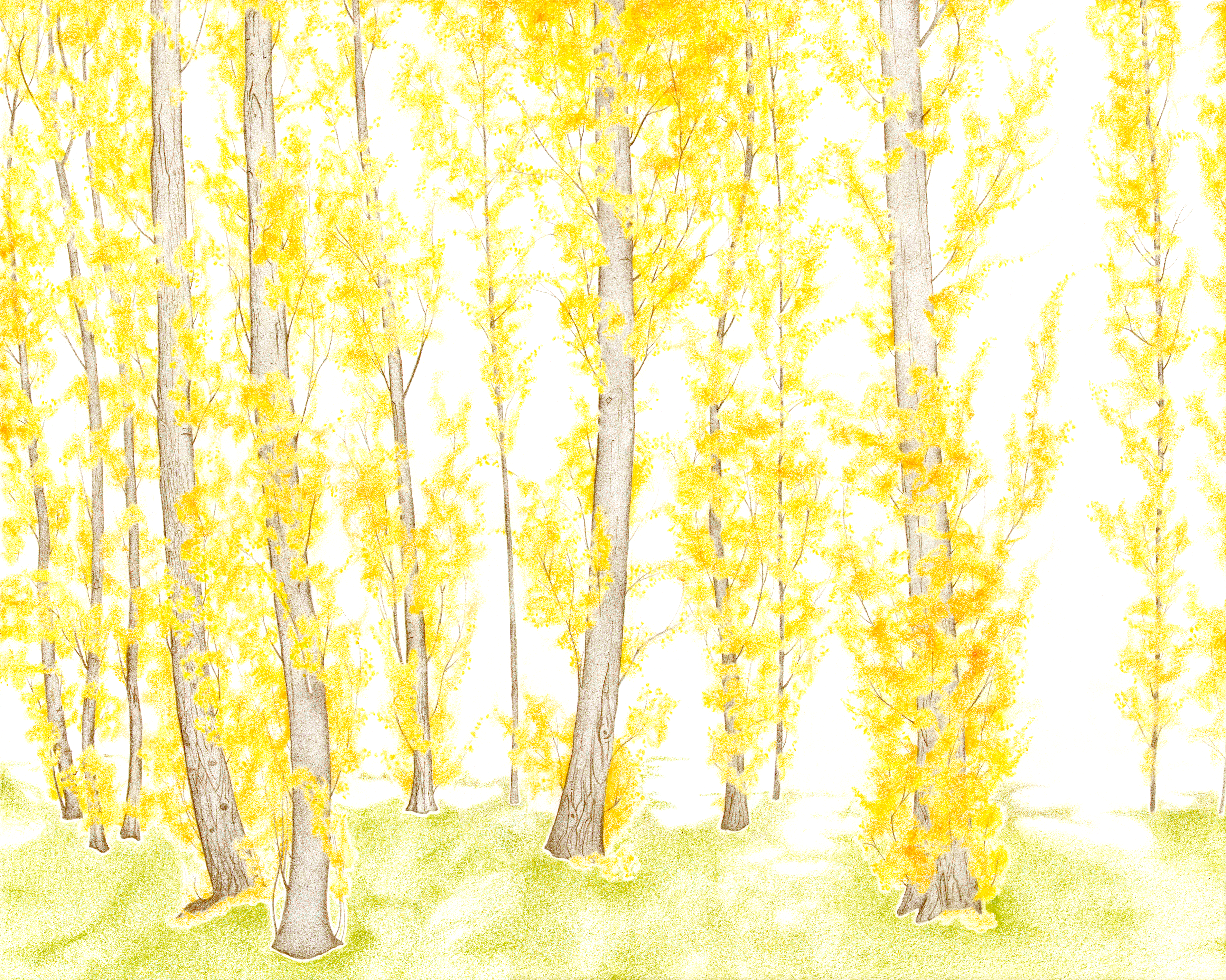 Tree Detail
